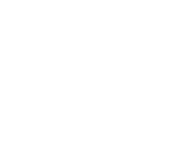 Turek Agronegócios